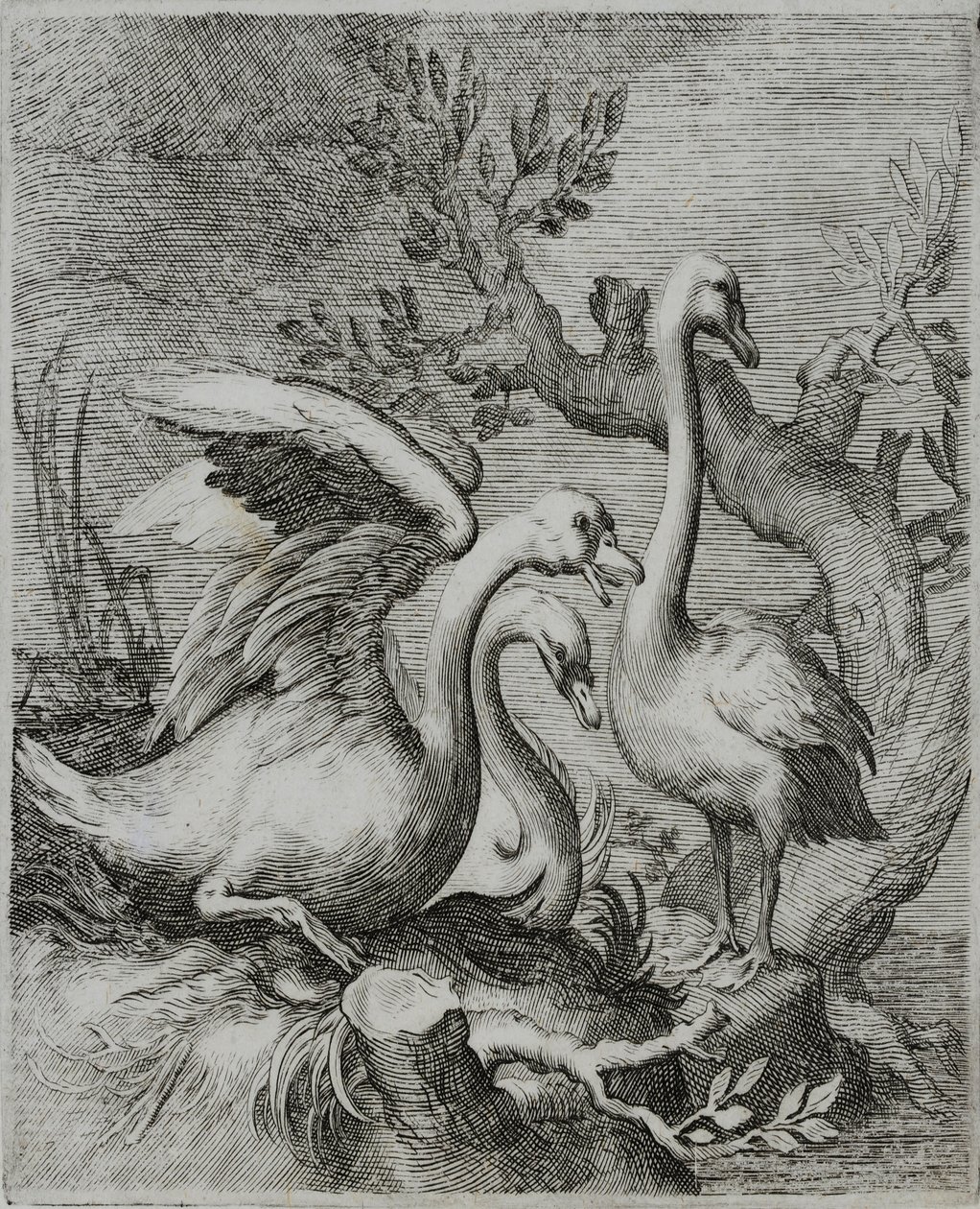 Old Master Metszet alkotó: Flemish School