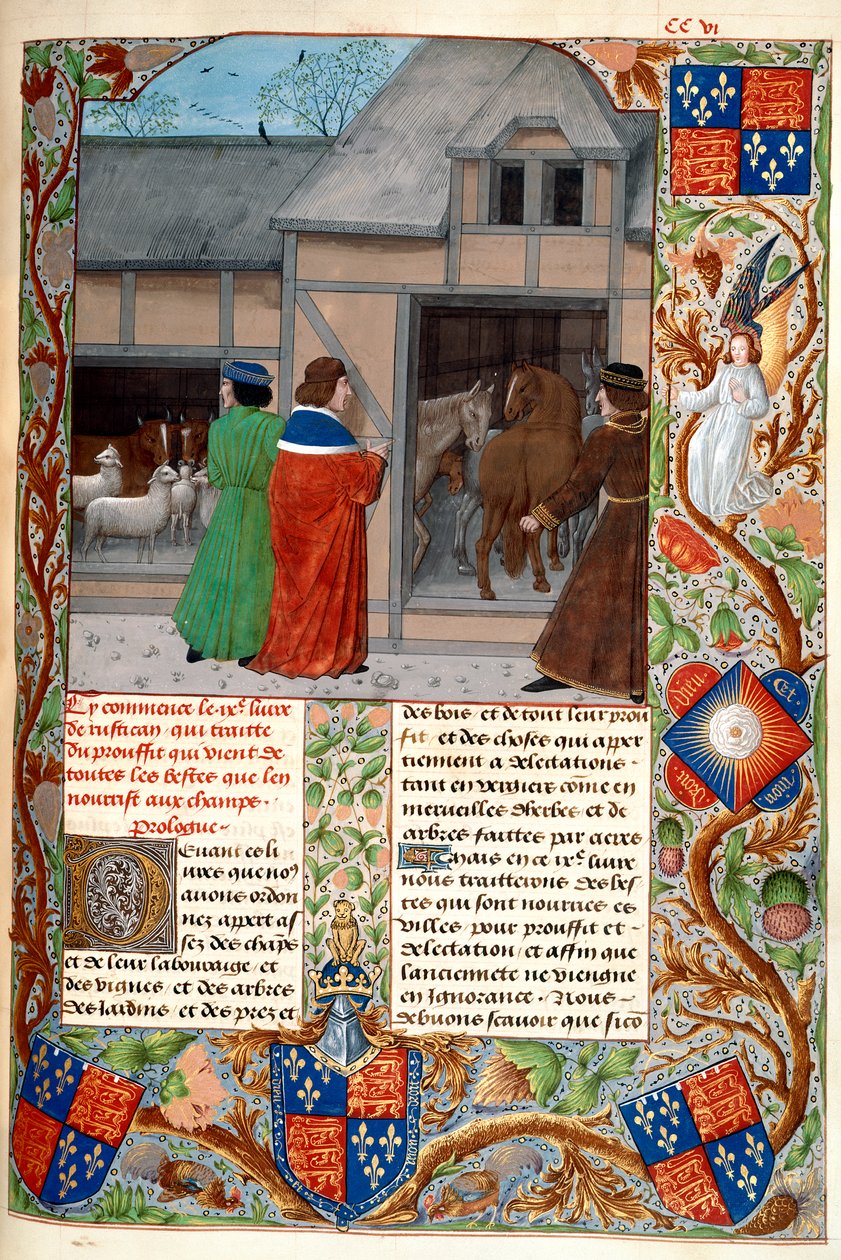 Royal 14 E. VI, f.215, Szerző lovakkal és juhokkal, a „Rustican, the Cultivation of the Lands” vagy a „Commoda Ruralia” c., 1473-83 körül (vellum); alkotó: Flemish School