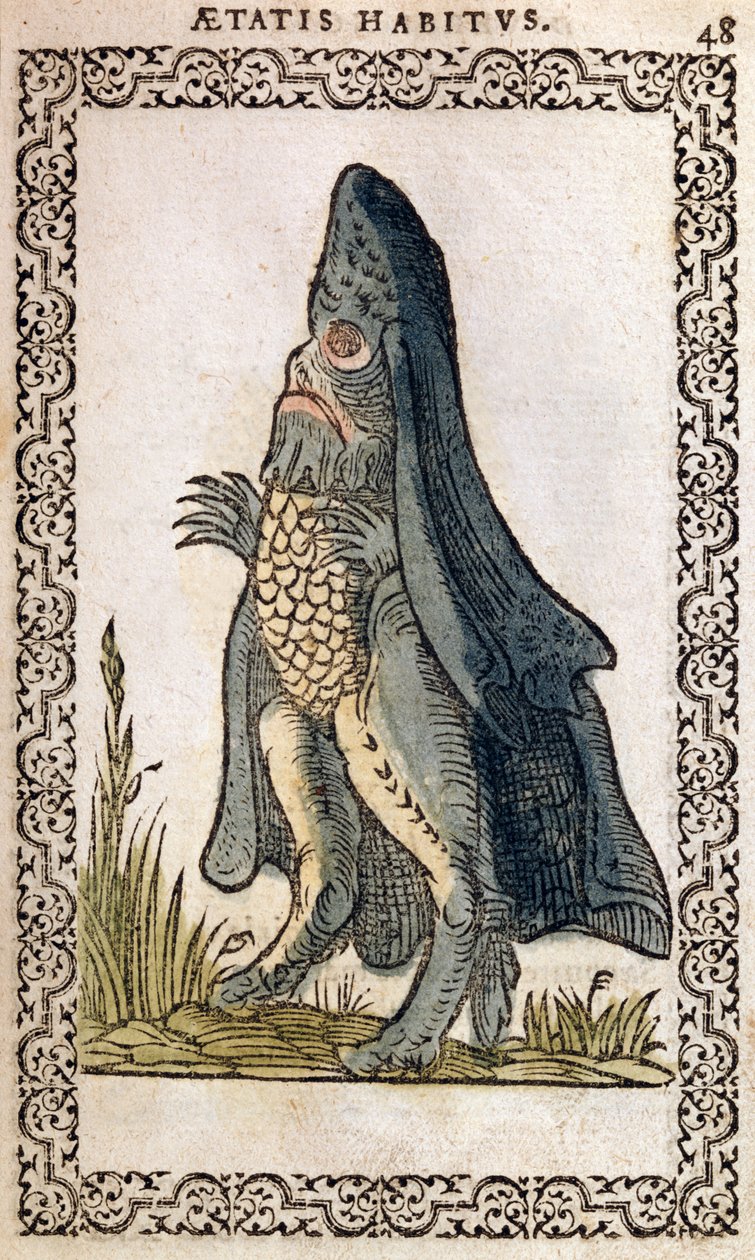 A tengeri püspök vagy tengeri szörny, Jean Sluperji, Szinte minden nemzet és kortárs nemzet szokásai és portréi című illusztrációja, Antwerpen, 1572 (színes fametszet) alkotó: Flemish School
