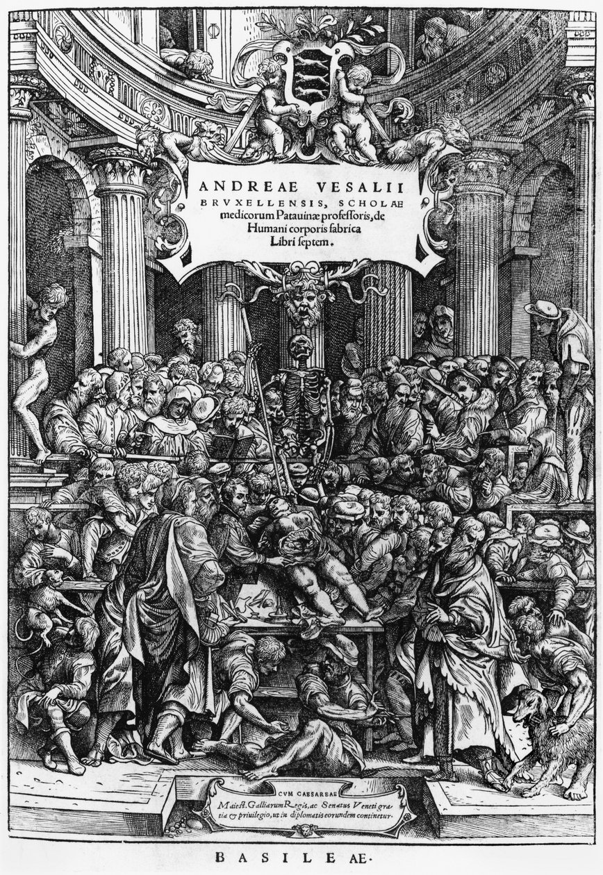 Andreas Vesalius (1514-64) anatómia órája a brüsszeli orvosi iskolában, a De Humani Corporis Fabrica előlapja, Bázelben, 1555 (lásd még: 466697) alkotó: Flemish School
