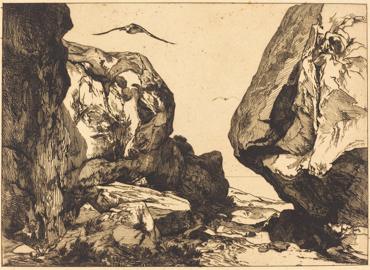Gorge in the Rocks alkotó: Félix Bracquemond after Jules Laurens