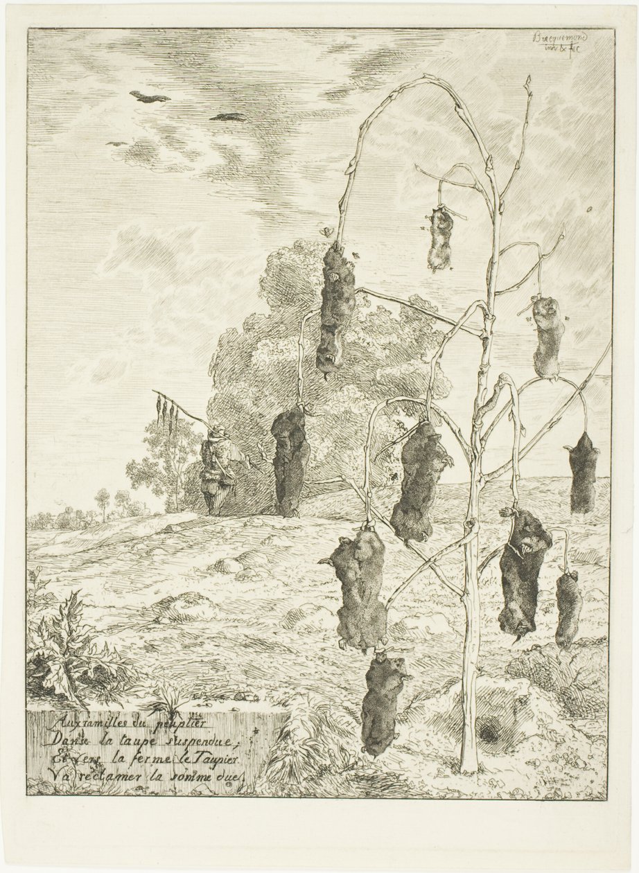 Vakondok alkotó: Félix Henri Bracquemond
