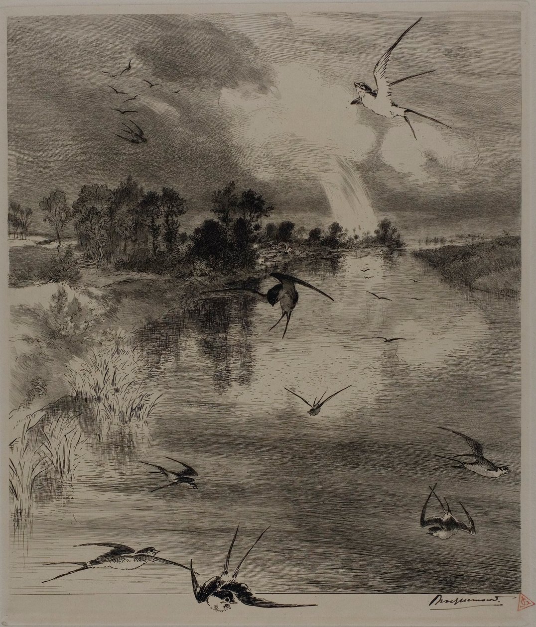 Fecskék alkotó: Félix Henri Bracquemond