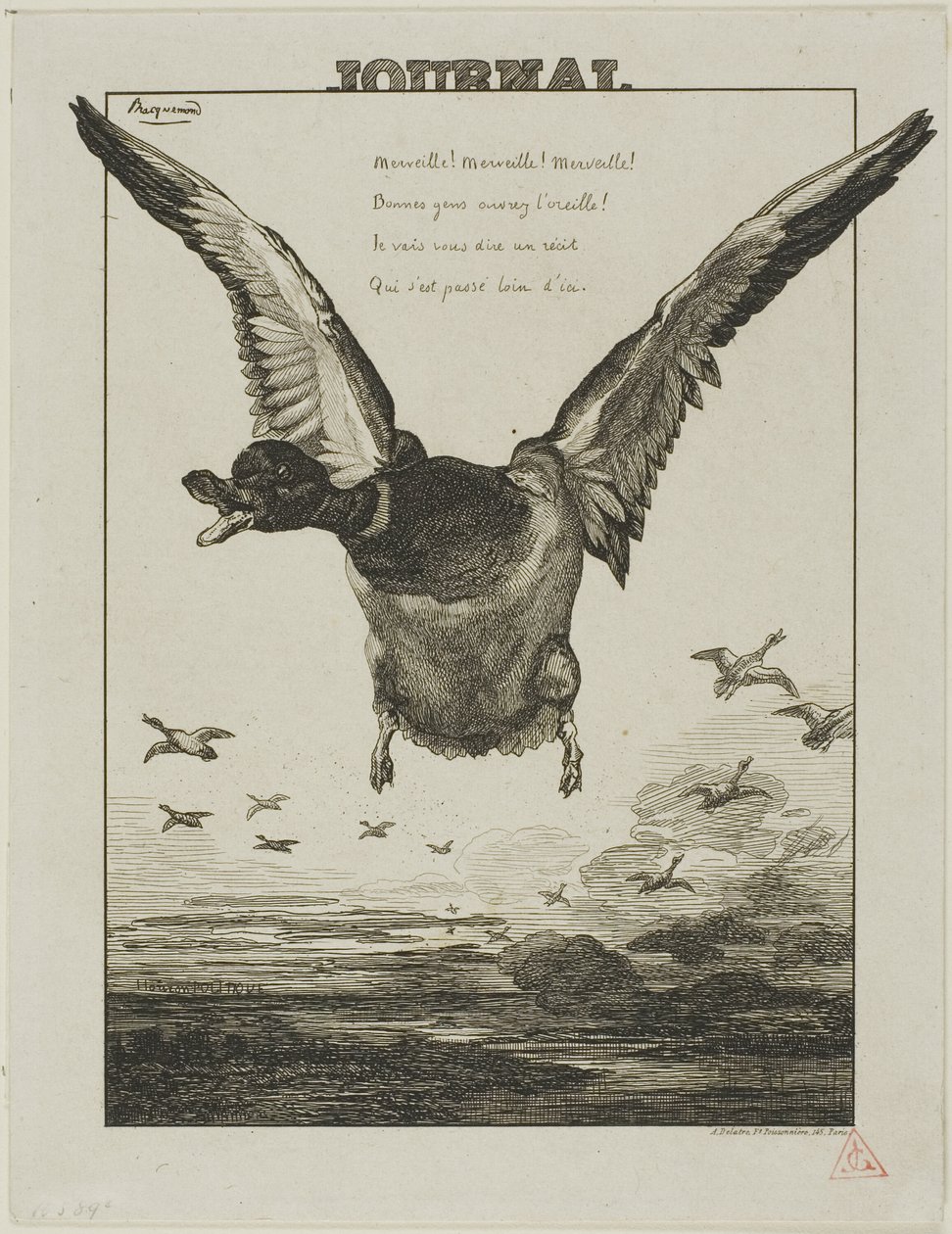 A kacsa alkotó: Félix Henri Bracquemond