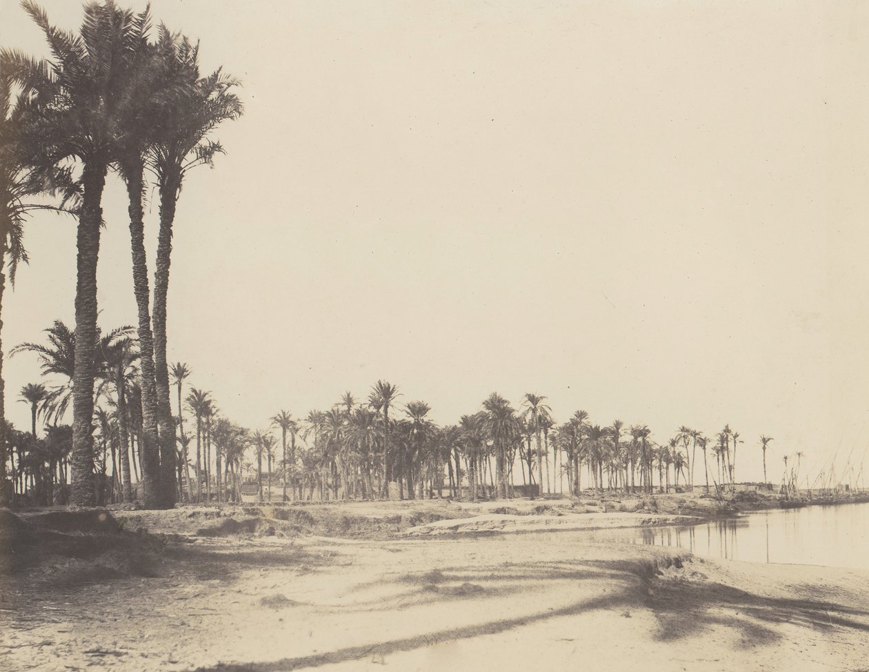 El-Nâcérah, Dattiers, Rives du Nil et Barques, 1851-52, nyomtatva 1853-54. alkotó: Félix Teynard