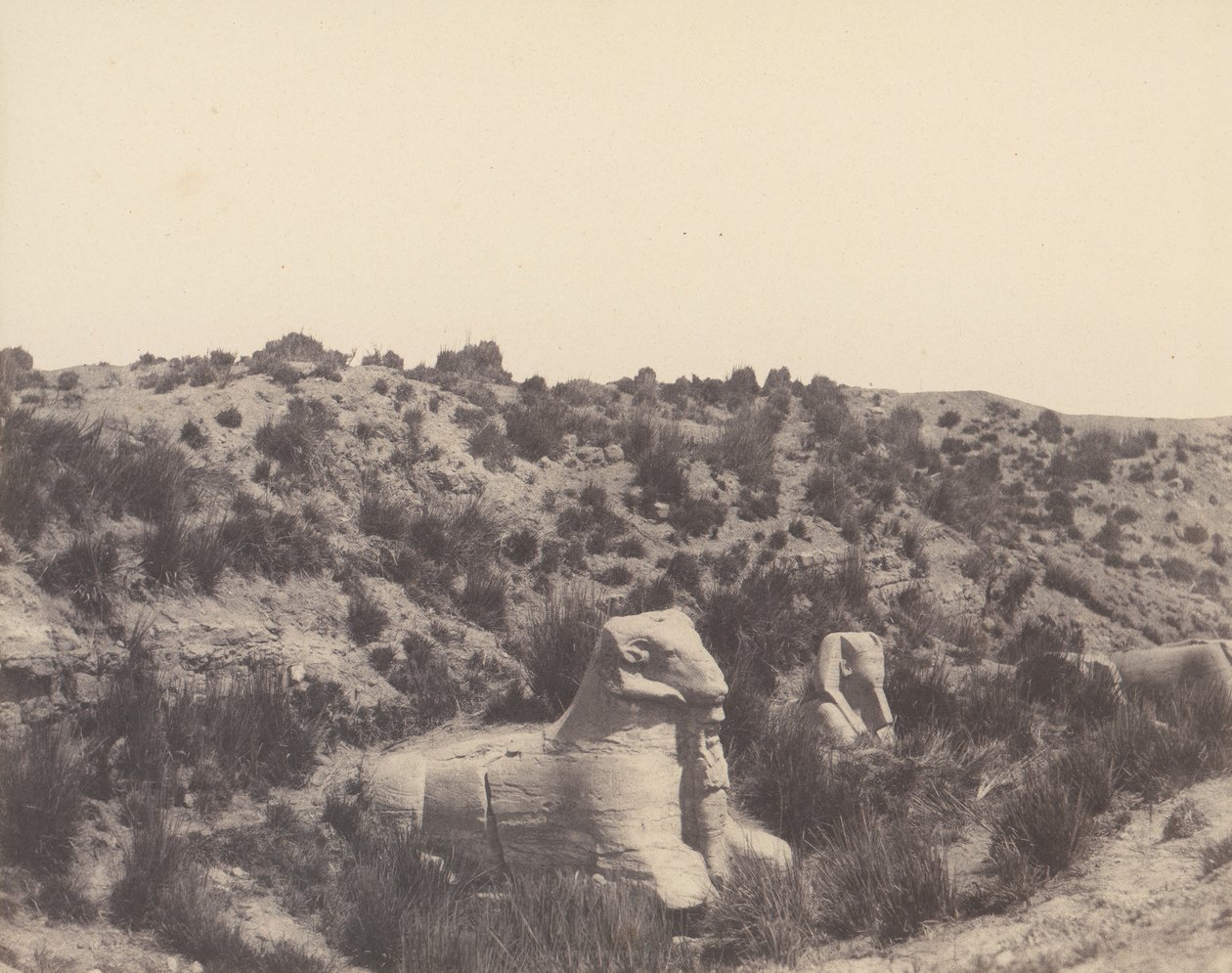 Karnak Théba, Szfinx emberi fejjel és kosfejjel, Y, 1851-52, nyomtatva 1853-54. alkotó: Félix Teynard