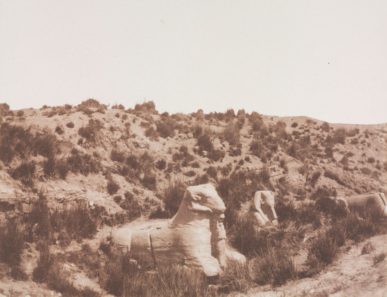 Szfinxek emberi fejjel és kosfejjel az Y. Karnak Thébában, 1851-1852. alkotó: Félix Teynard
