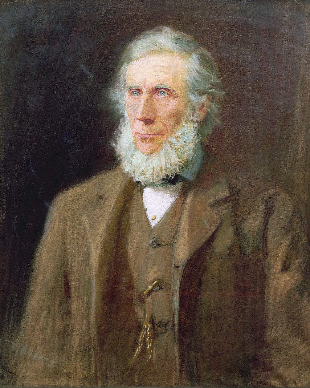 John Tyndall (1820-93) portréja (pasztell, papír) alkotó: Florence E. Haig