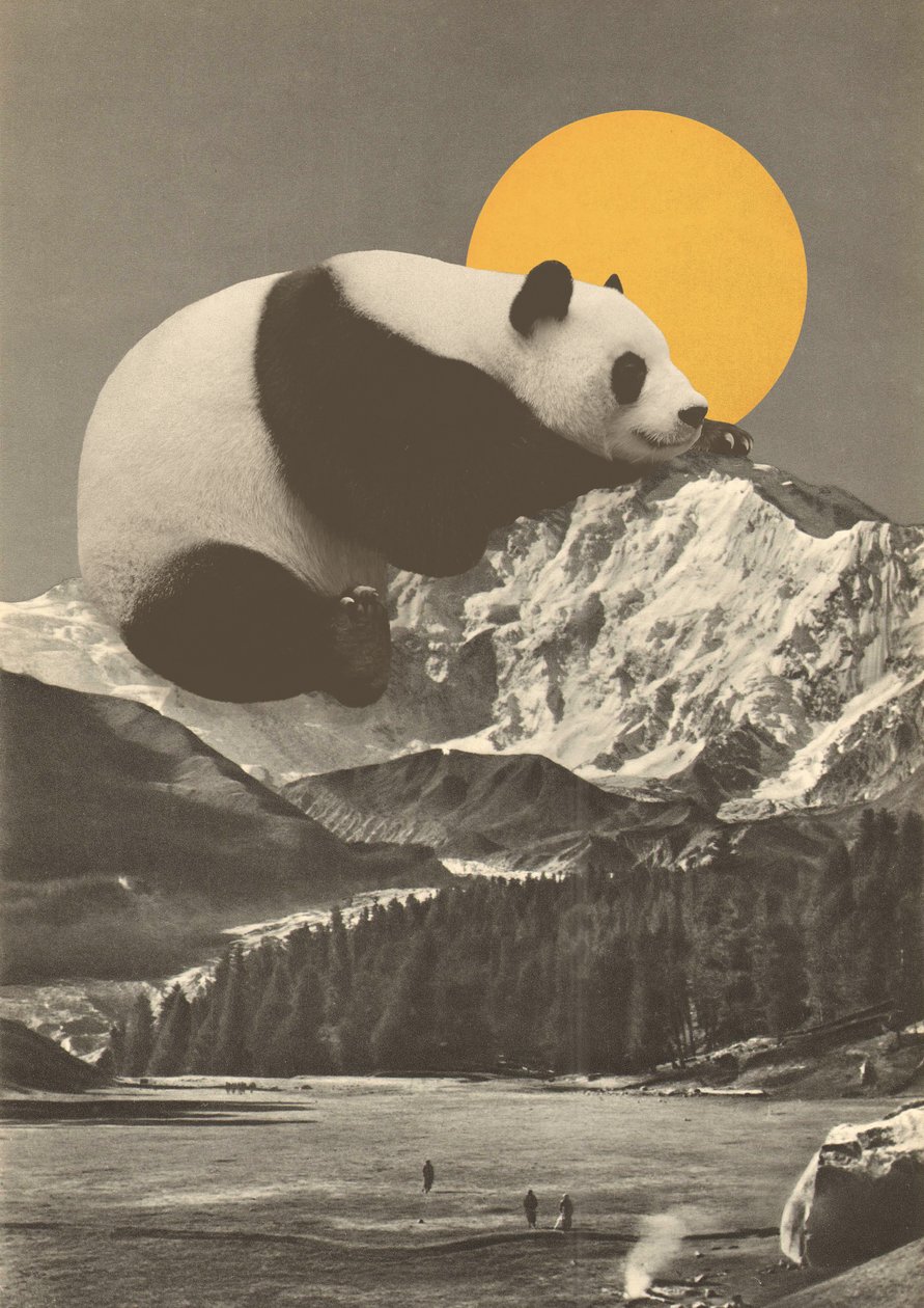 Panda Nap a hegyekben alkotó: Florent Bodart