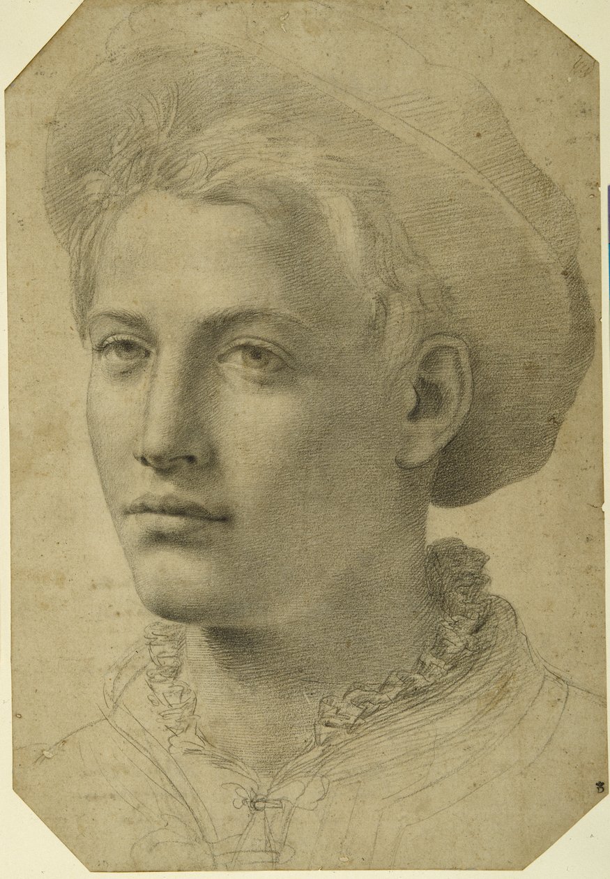 Egy sapkát viselő fiatal portréfeje, 1530-40 körül (fekete kréta fehér papíron) alkotó: Florentine School