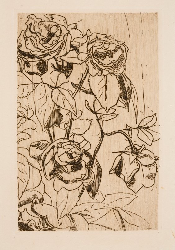A rózsák tanulmányozása alkotó: Floris Verster