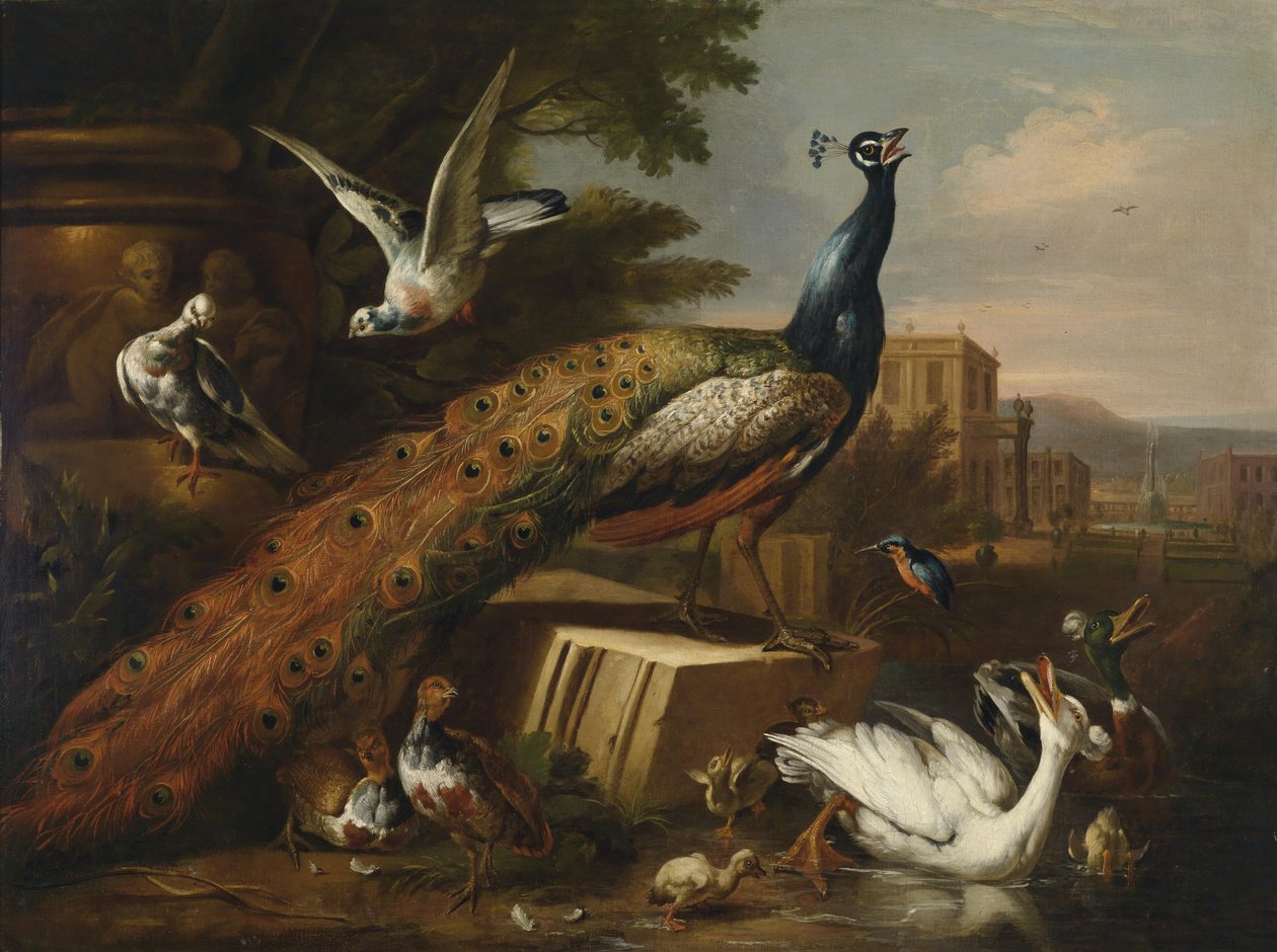 Páva galambokkal, csirkékkel és vízi madarakkal körülvéve egy kastélyparkban alkotó: Follower of Pieter Casteels III