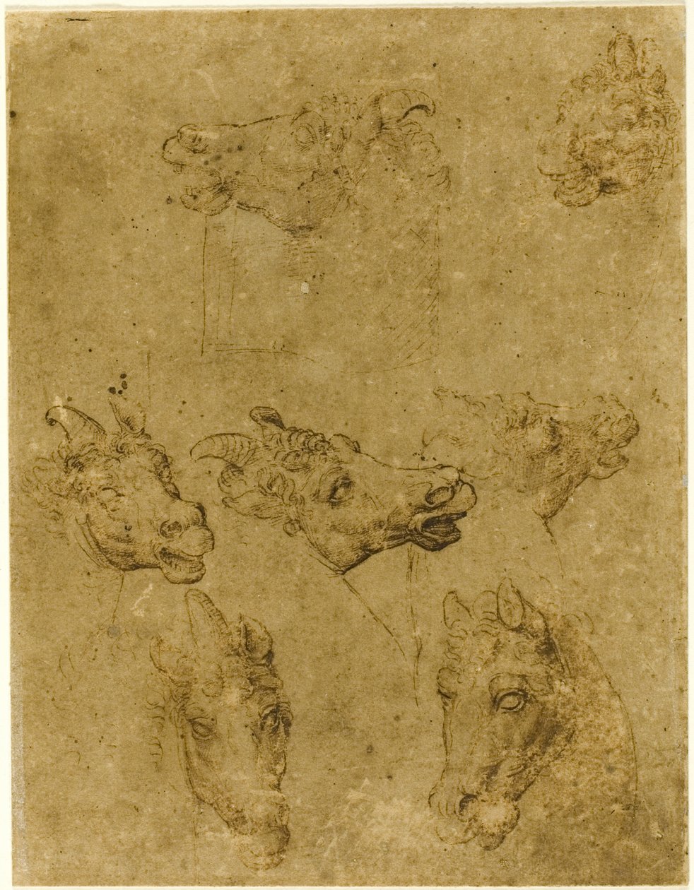 A lovak és az egyszarvúak fejei alkotó: Follower of Leonardo da Vinci