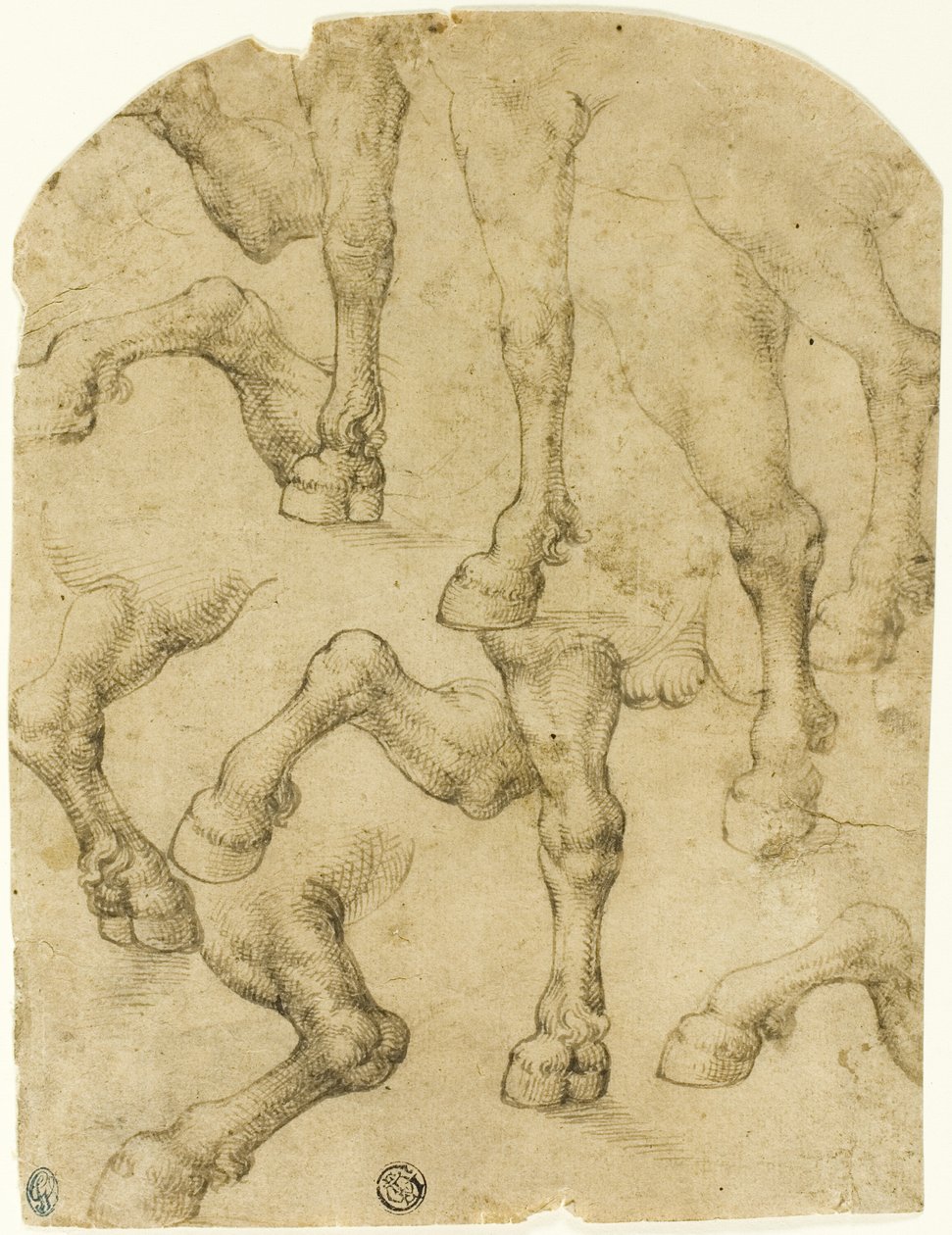 Ló (vagy dromedár) lábának vázlatai (recto); oszlopok (verso) alkotó: Follower of Leonardo da Vinci