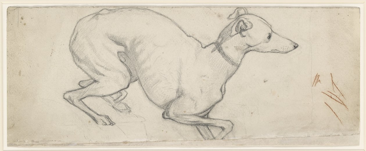 Agár tanulmányozása (grafit törtfehér papíron) alkotó: Ford Madox Brown