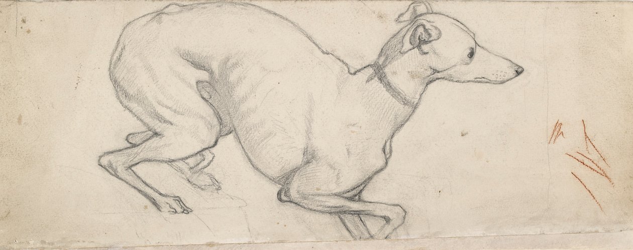 Tanulmány egy agárról, 19. század közepe alkotó: Ford Madox Brown