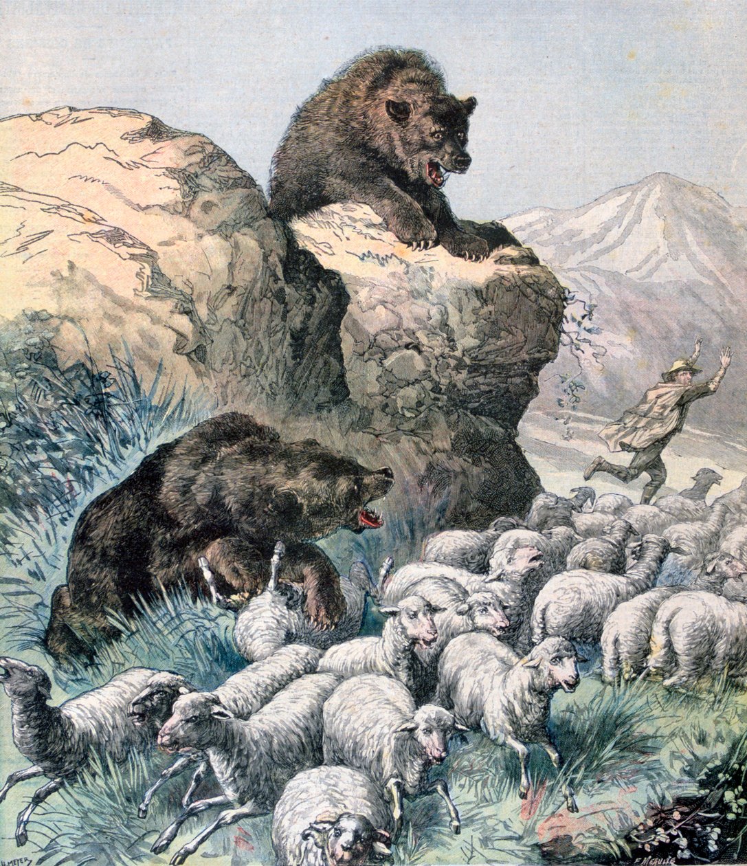 A Cagyre medvéi, 1891. alkotó: Fortuné Méaulle