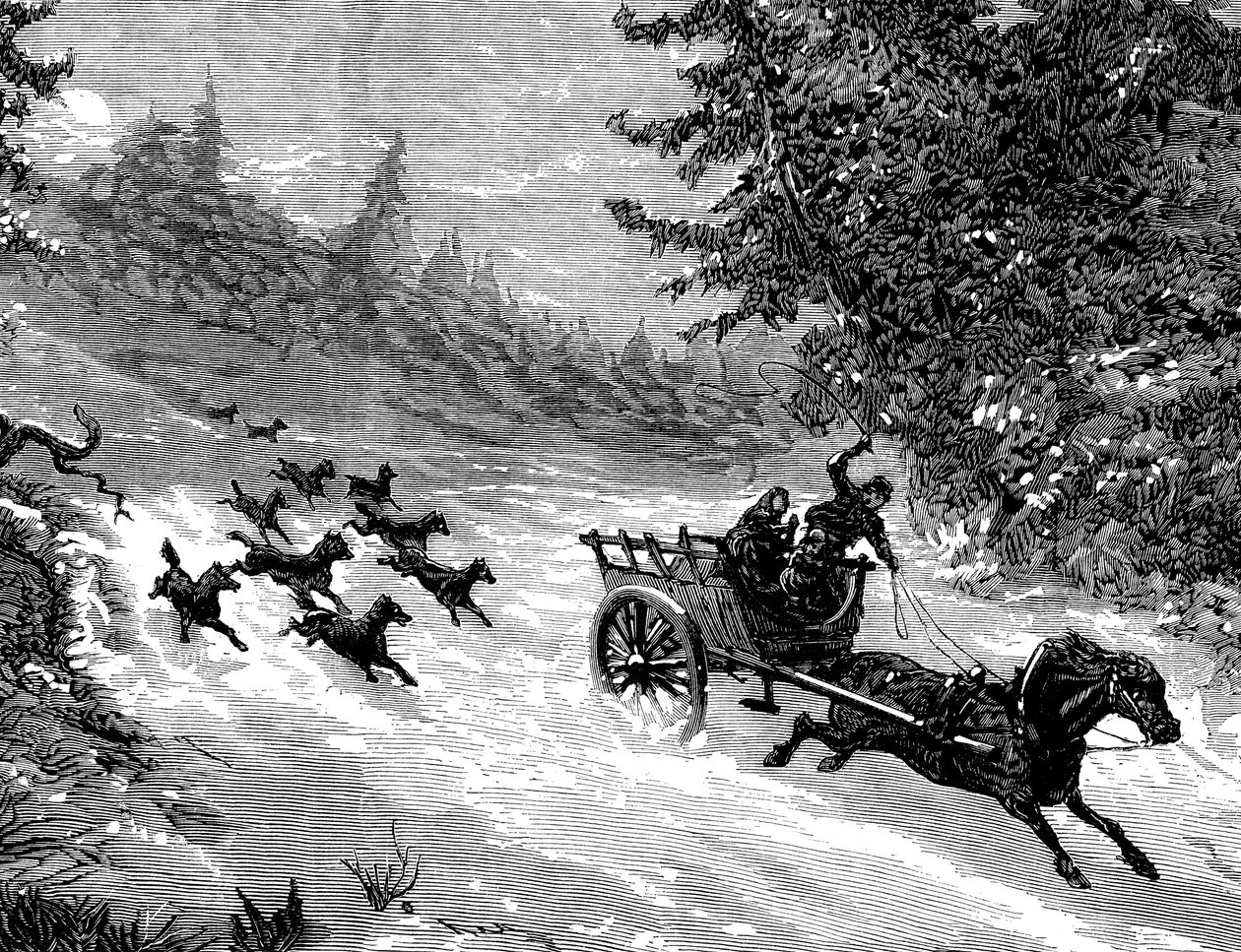 A farkastól való félelem: Egy farkasfalka üldöz egy három embert szállító szekeret, amelyet egy hóban menekülő ló húz, egy ardenneki erdőben - Meaulle metszete a "The Illustrous Universe" 918. számában, 1872. január - A farkasok félelme. alkotó: Fortune Louis Meaulle