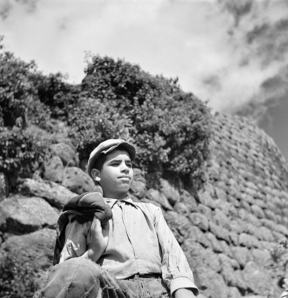 Fiatal szardíniai pásztor alkotó: Fosco Maraini