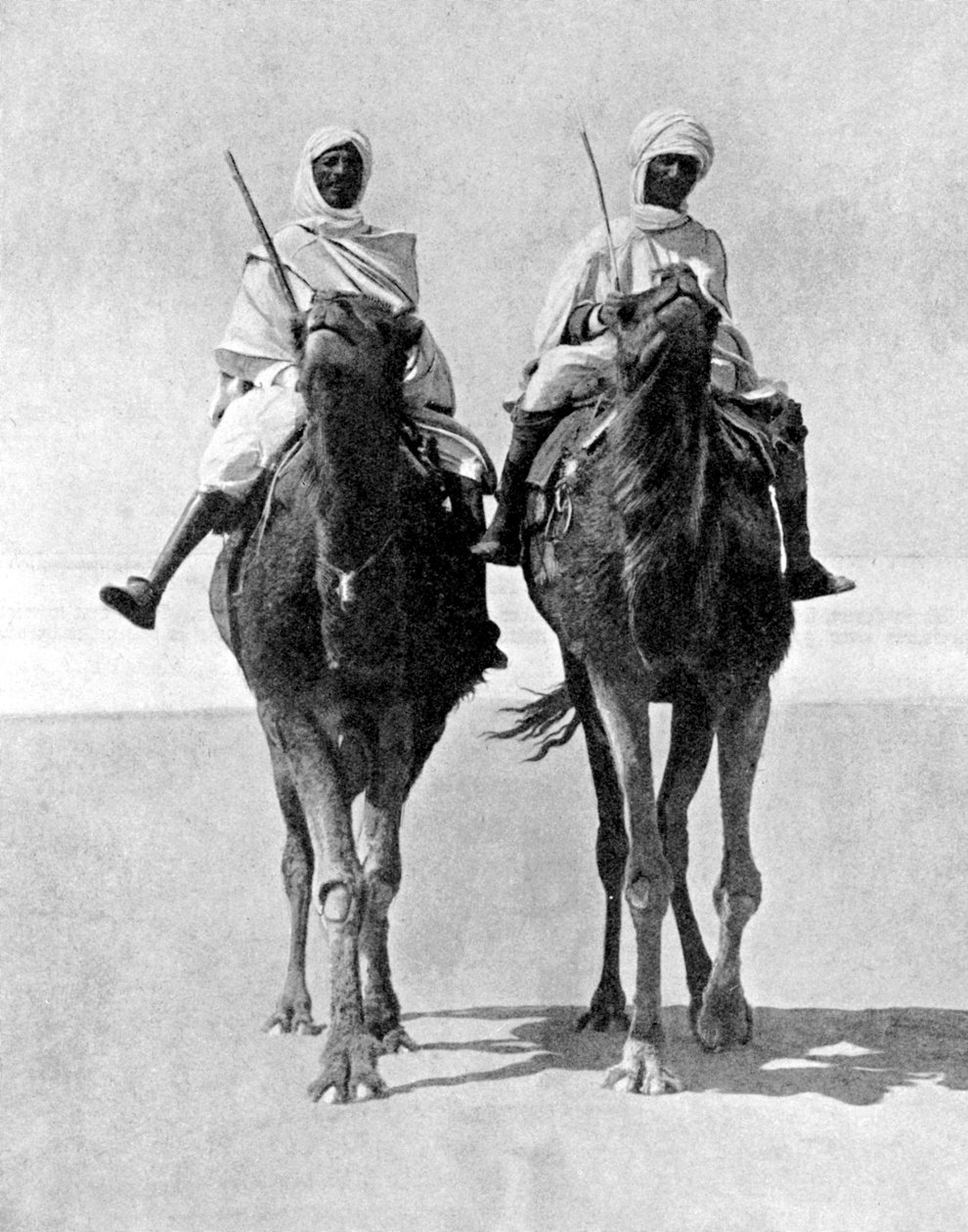 Két tevén lovagló arab a Szahara-sivatagban, Afrikában, 1936. alkotó: Fox Photos