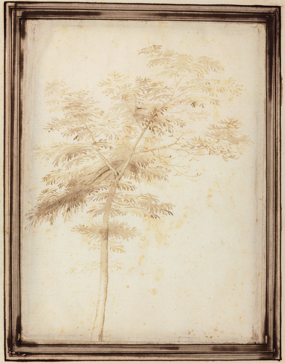 Tanulmány egy fáról alkotó: Fra Bartolomeo