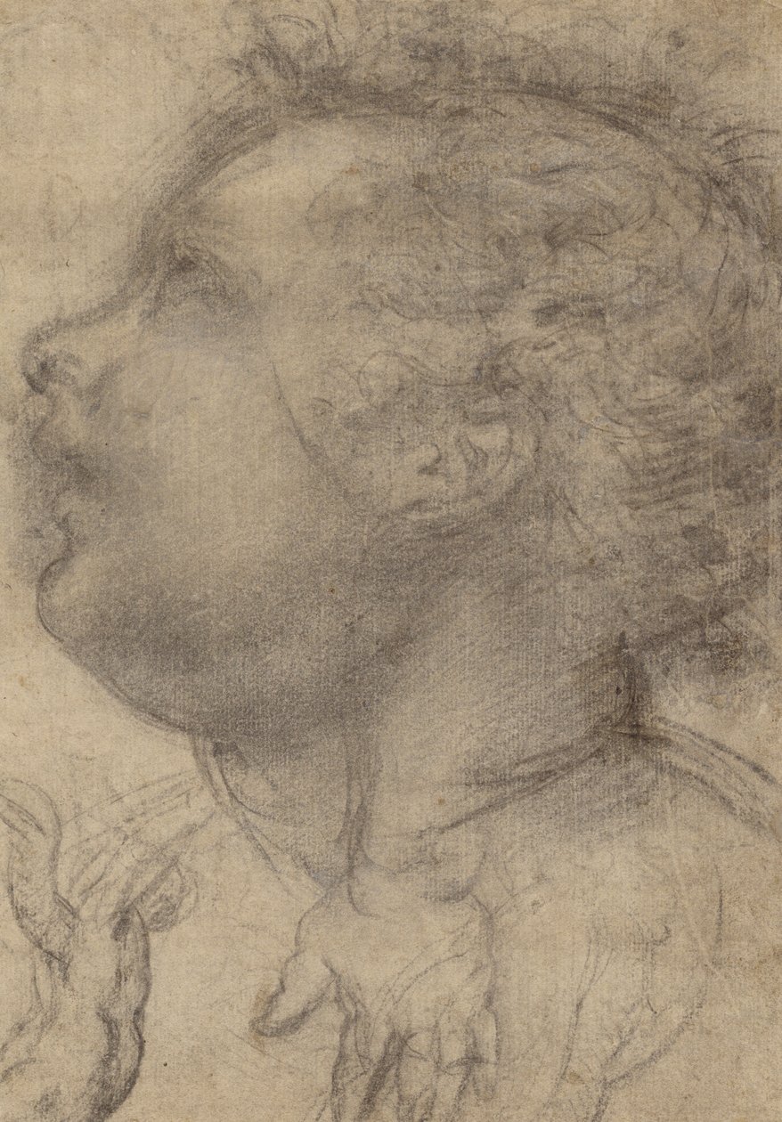 Gyermekfej, angyal és kéz (recto); férfi alak (verso) alkotó: Fra Bartolommeo (Baccio della Porta)