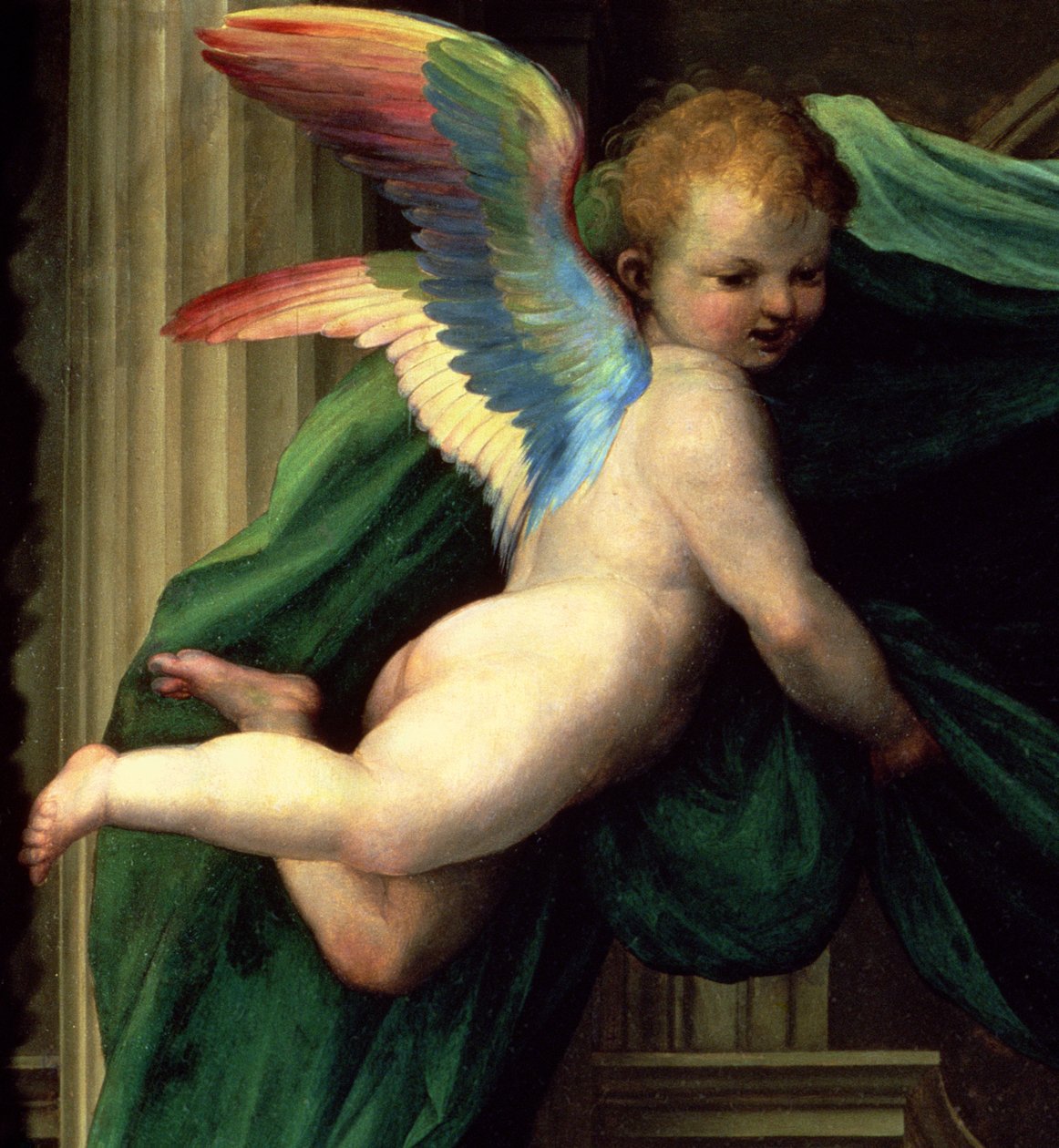 Sienai Szent Katalin misztikus házassága szentekkel, egy angyal részlete, 1511 olaj, tábla 93870 alkotó: Fra Bartolommeo