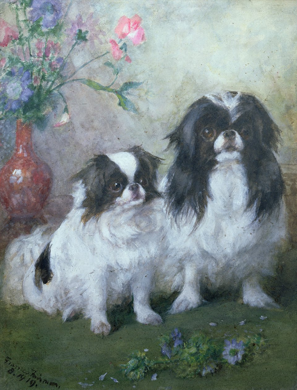 Japán csincsin szuka és kölyke, 1919 (gouache és wc) alkotó: Frances C. Fairman