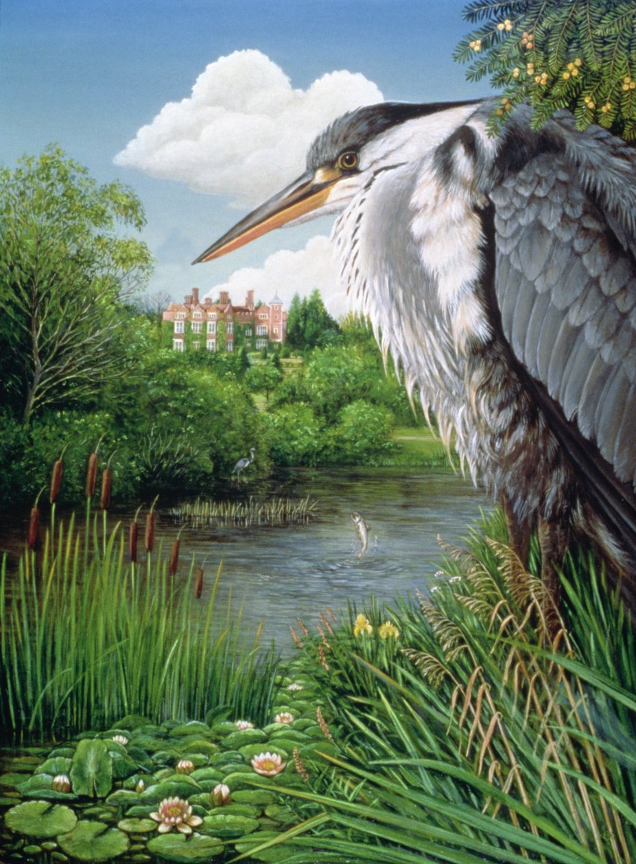 Herons at Chilham, 1986 (olaj és tempera a panelen) alkotó: Frances Broomfield