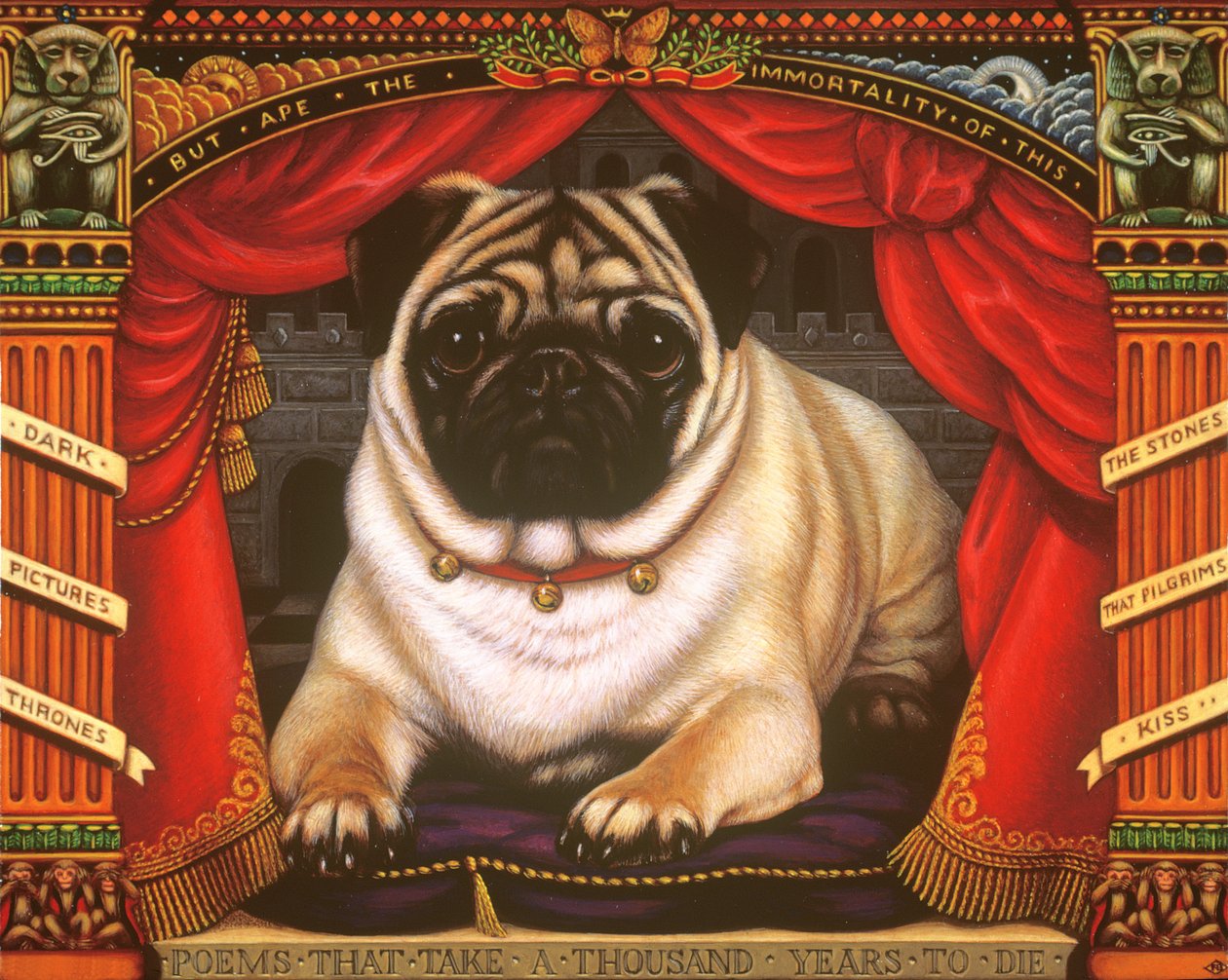 Nabokovs Mopsz, 2006 (olaj és tempera a panelen) alkotó: Frances Broomfield