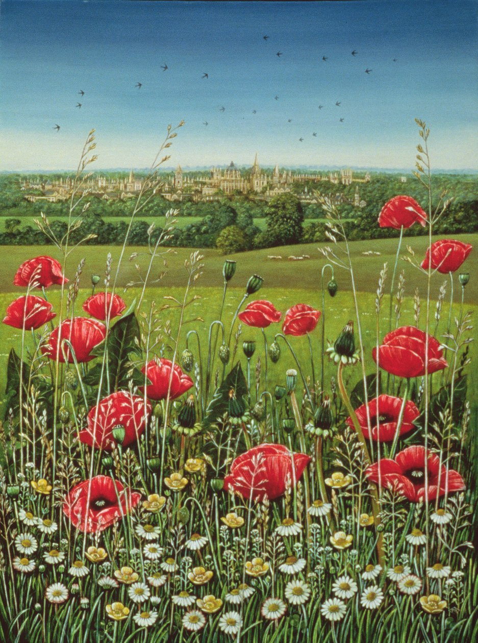 Oxford Poppies, 1983 (olaj és tempera a panelen) alkotó: Frances Broomfield