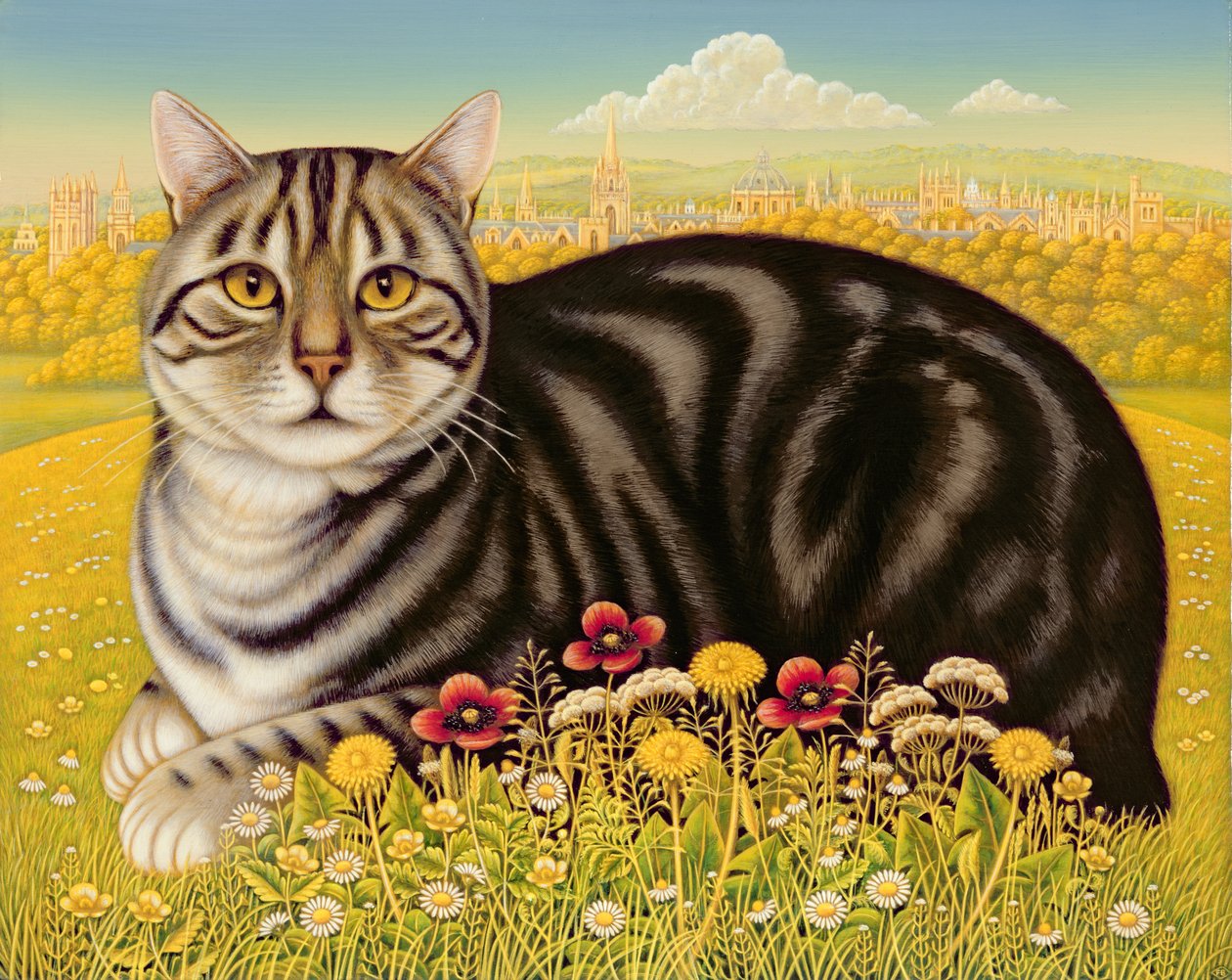 Az Oxford Cat, 2001 (olaj és tempera a panelen) alkotó: Frances Broomfield