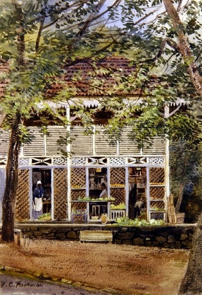 Brit Nyugat-India (akvarell, papír) alkotó: Frances C. Fairman