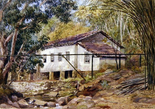 Brit Nyugat-Indiák (akvarell papíron) alkotó: Frances C. Fairman