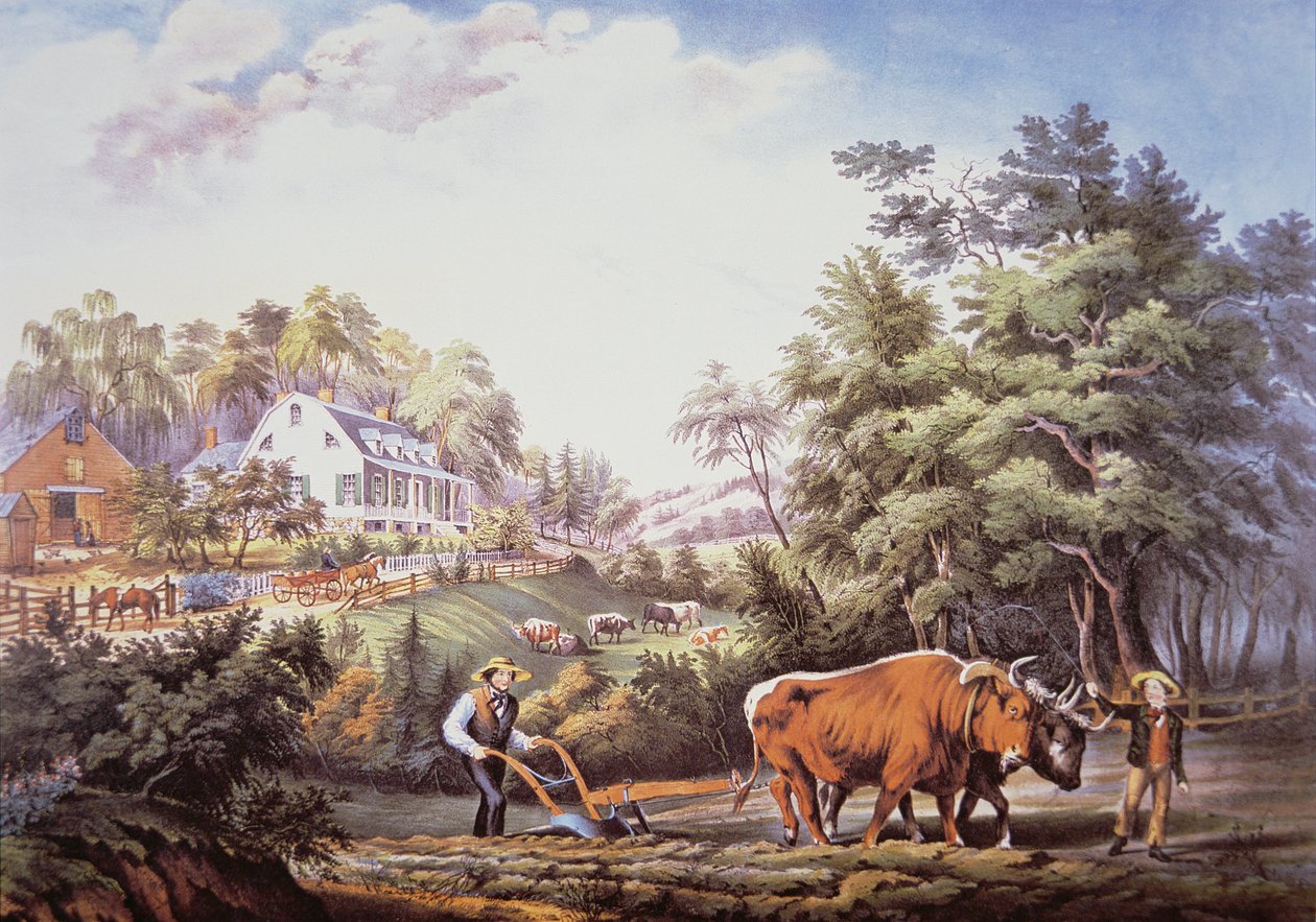 Amerikai farm jelenet alkotó: Frances Flora Bond (c.1812 76) Palmer