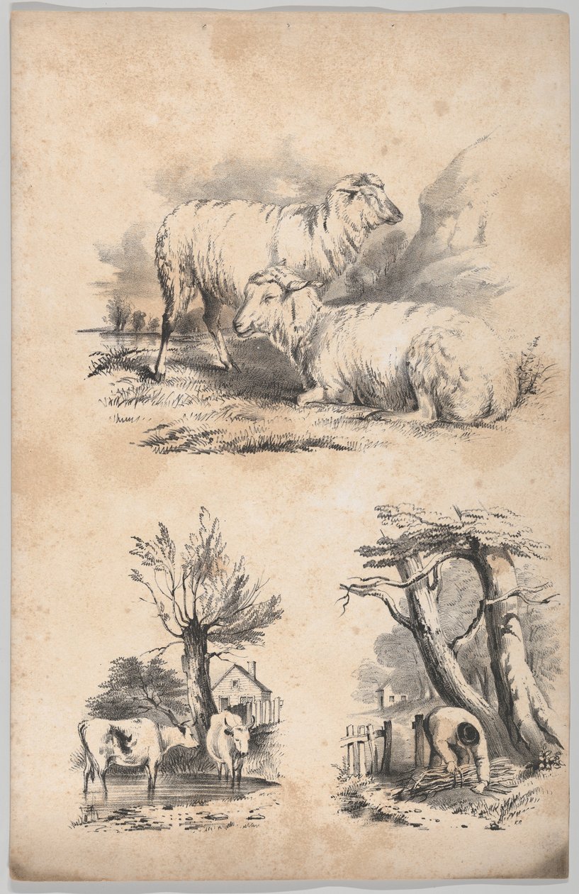 Matrica két birkával, matrica két tehénnel a medencében és egy fagyűjtő matrica..., 1847. alkotó: Frances Flora Bond Palmer