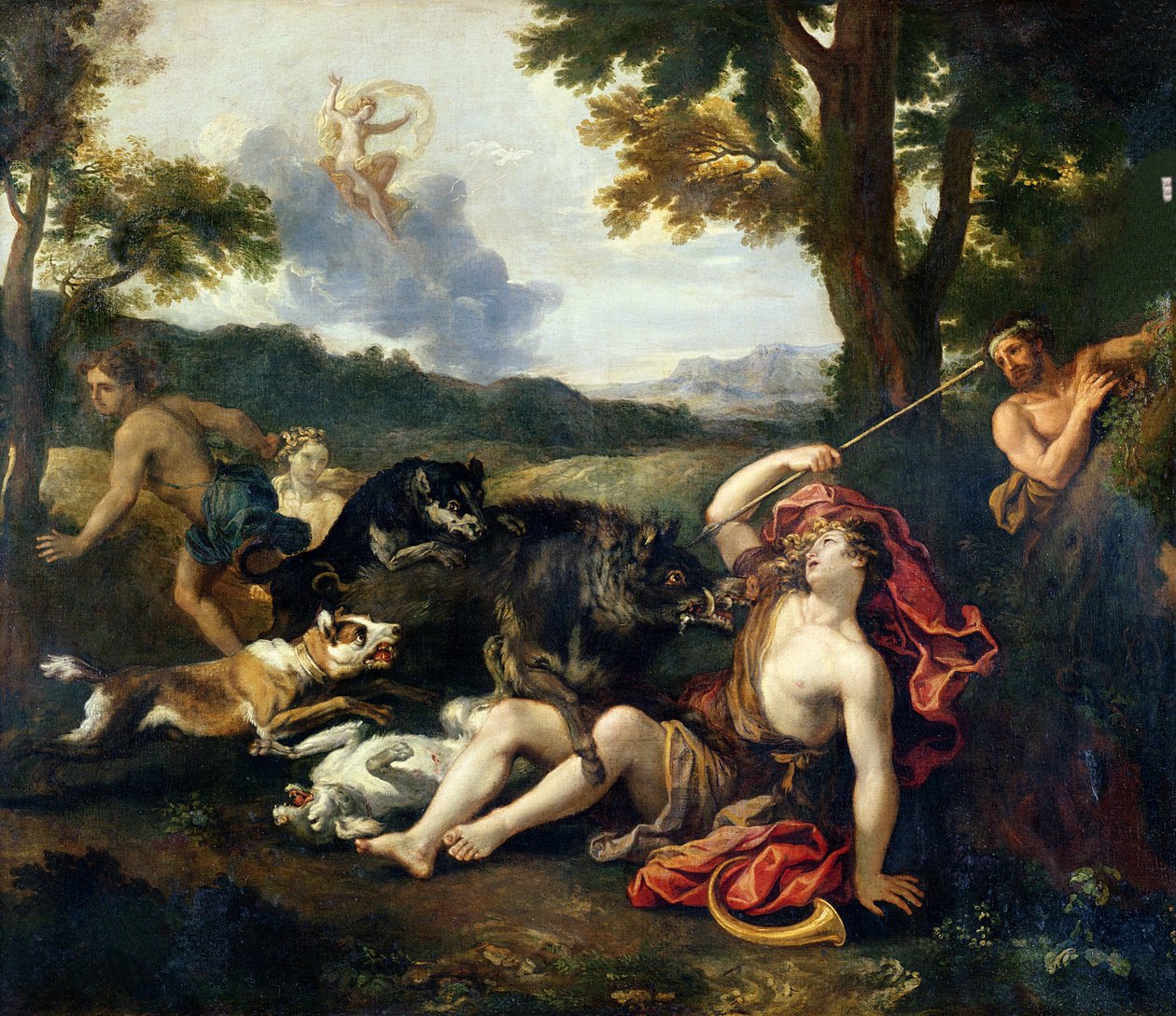Adonist megölte egy vaddisznó alkotó: Francesco Albani