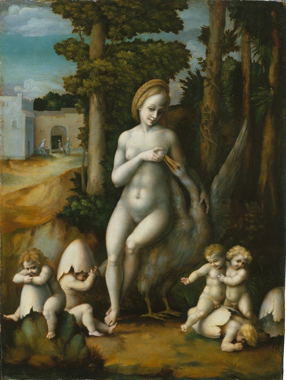 Léda és a hattyú alkotó: Francesco Bacchiacca
