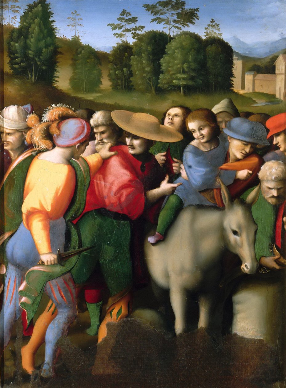 József legendája: A sapka megtalálása, 1515-1516. alkotó: Francesco Bacchiacca