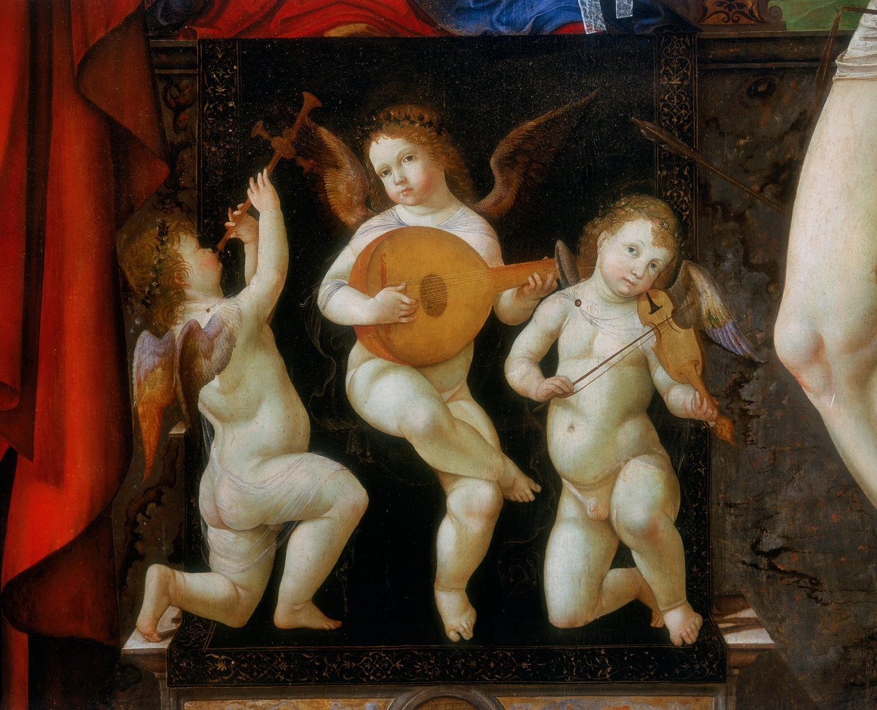 Három zeneangyal. Részlet a Szent Jeromossal és Sebastiannal trónoló Madonna oltárképéről, Francesco Bianchi Ferrari, San Pietro templom, Modena alkotó: Francesco Bianchi Ferrari