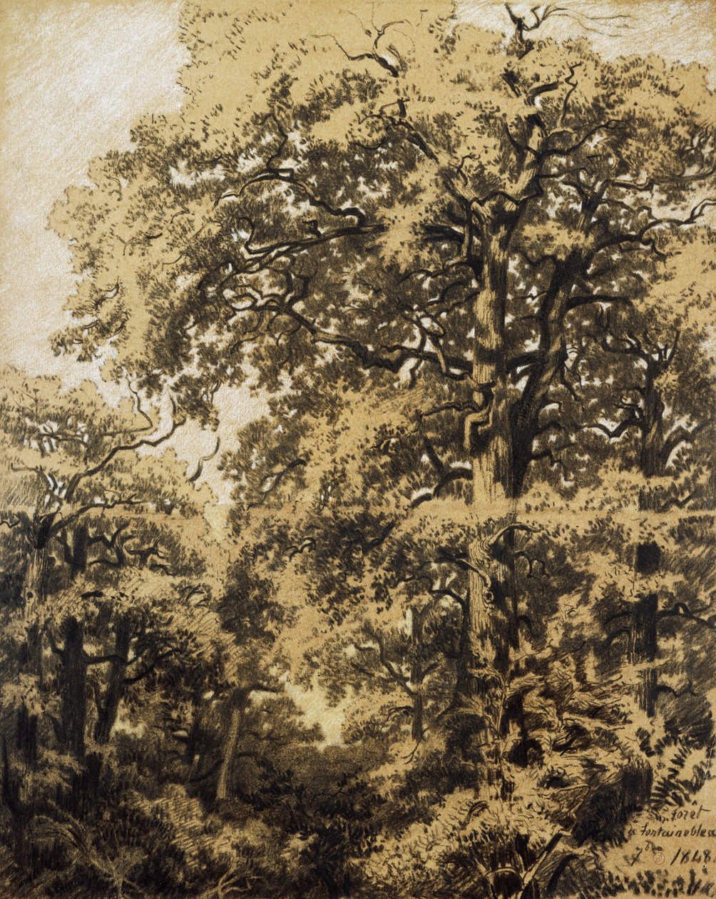 Fontainebleau-i erdő alkotó: Francesco Gamba