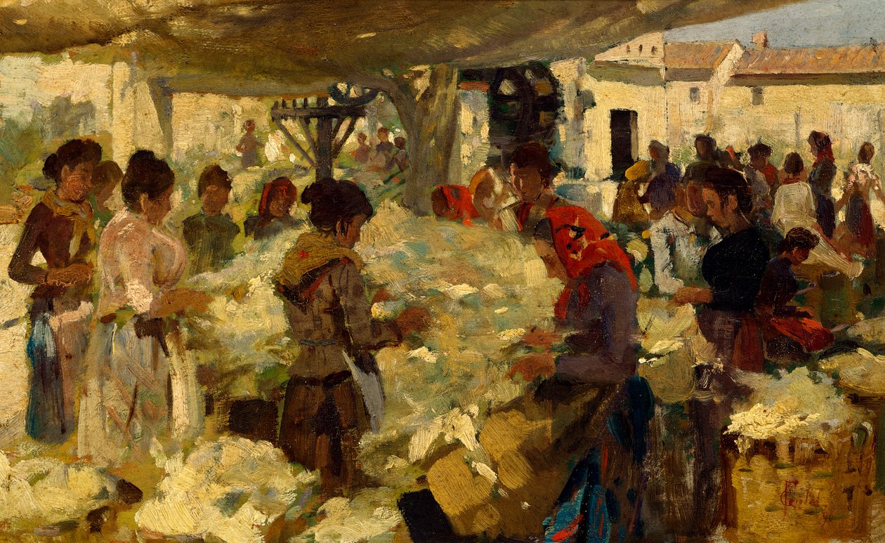 Gyapjú eladó alkotó: Francesco Gioli