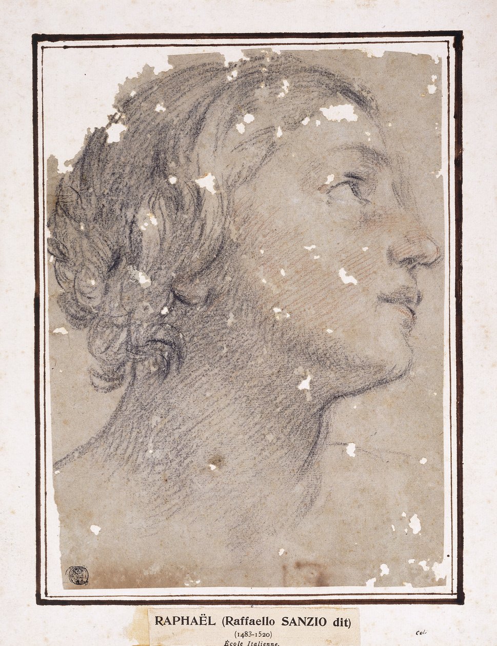 Egy nő feje, profilban jobbra, alkotó: Francesco Giovanni Gessi