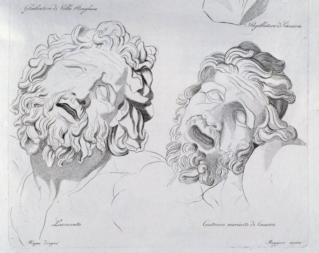 Laocoon és Centaur fejei morientálnak Canova által alkotó: Francesco Hayez