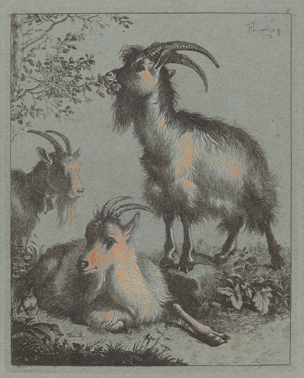 Három kecske, 1758. alkotó: Francesco Londonio