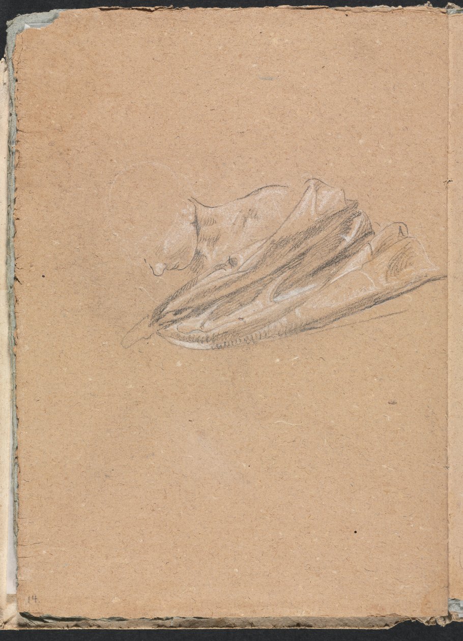 Verona vázlatfüzet: Fej és váll drapériával, 14. oldal, 1760. alkotó: Francesco Lorenzi