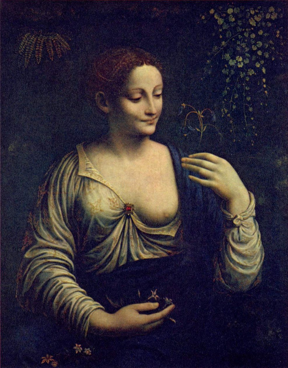 Növényvilág alkotó: Francesco Melzi
