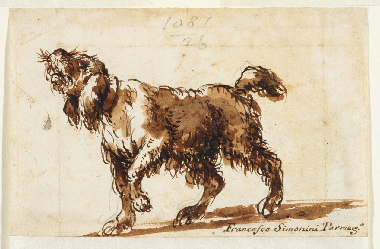 Kutyaüvöltés (recto), 1700-50 körül (fekete kréta, toll és barna tinta, barna mosás, grafit fektetett papíron) alkotó: Francesco Simonini