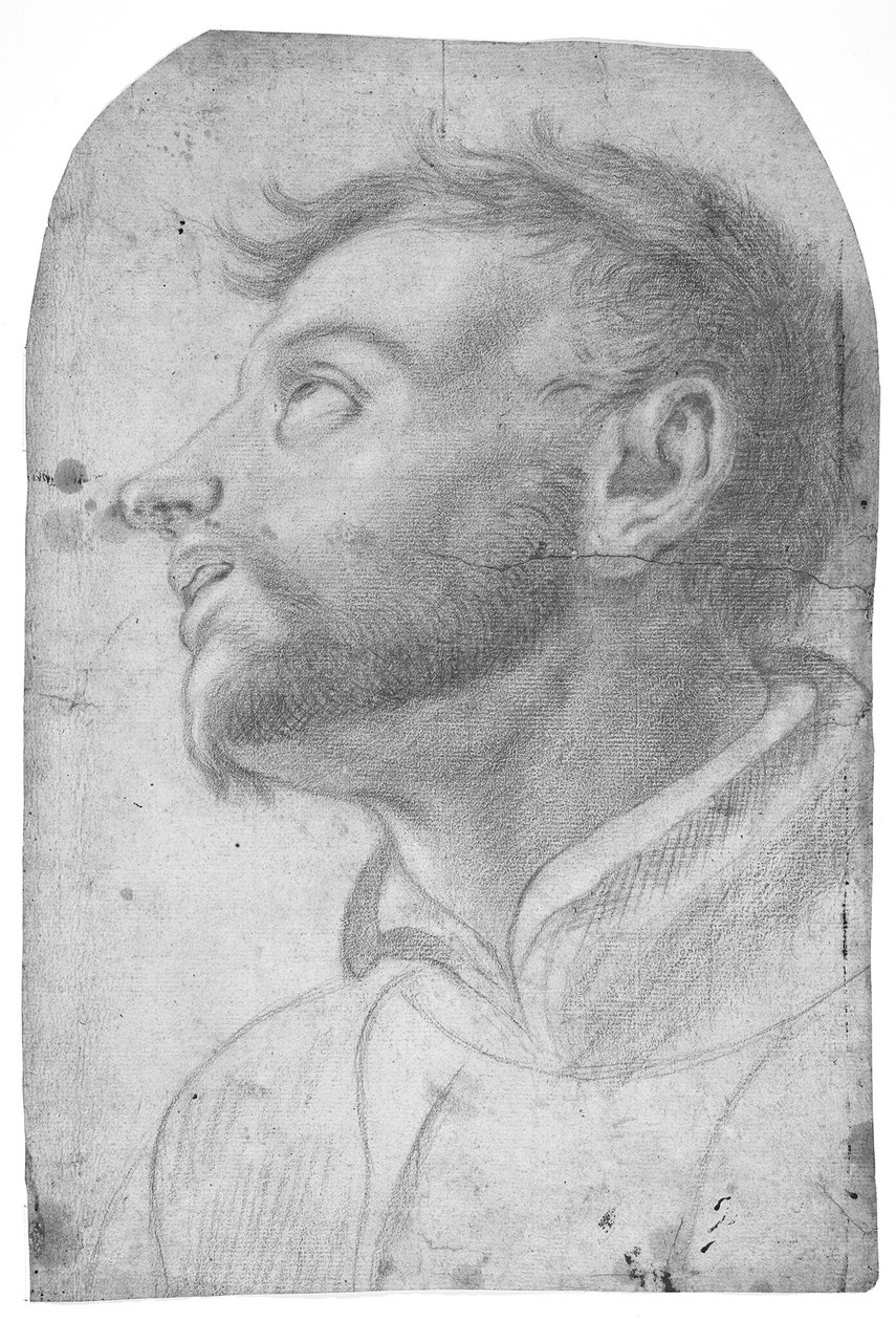 Felfelé tekintő férfi feje alkotó: Francesco Solimena