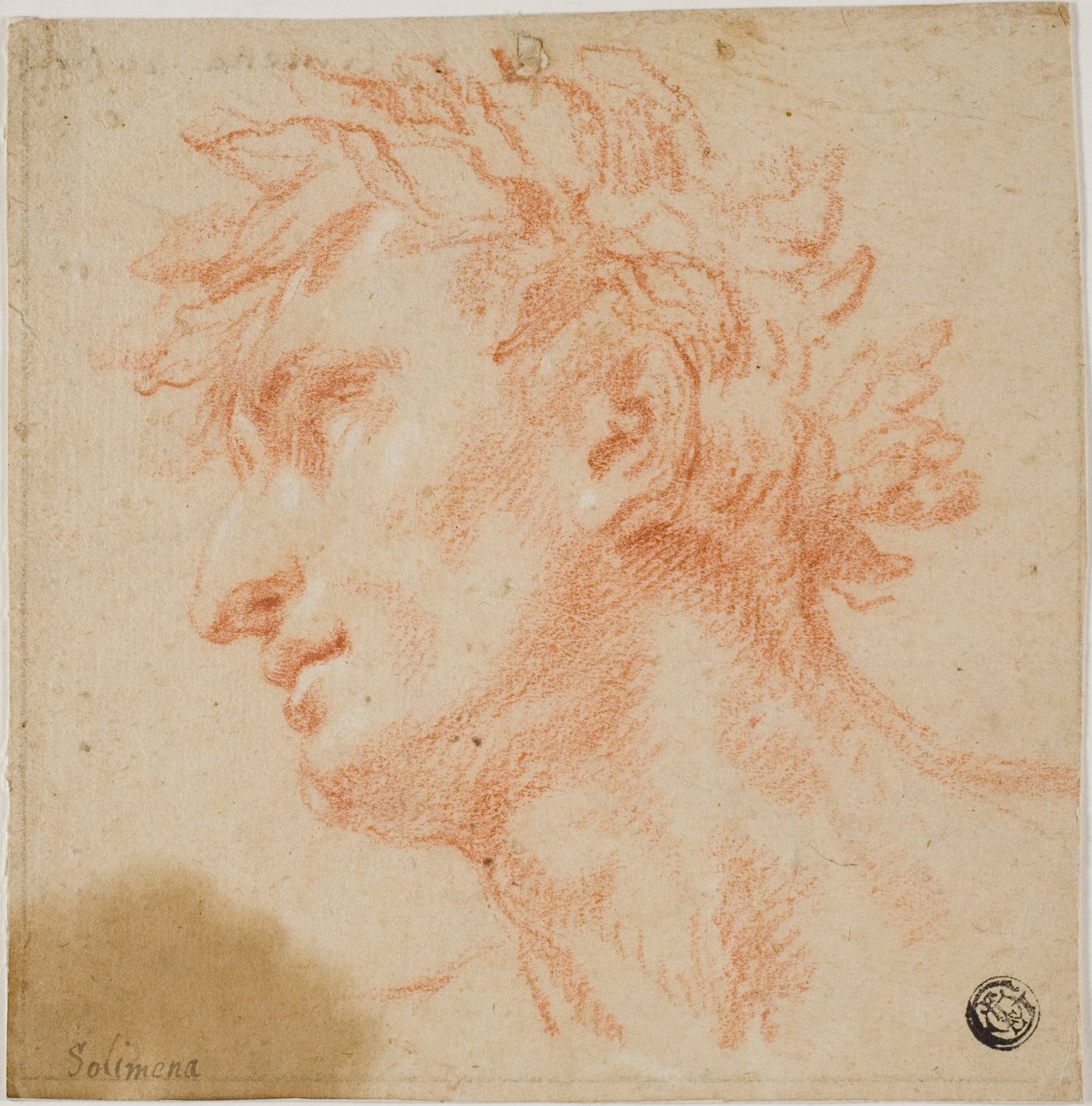 Férfi fej profilja, babérlevéllel koronázva alkotó: Francesco Solimena